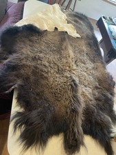 buffalo rug bison hide for sale  Wanette