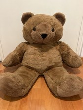 Baby bear orso usato  Verona