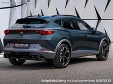 Remus sportauspuff cupra gebraucht kaufen  Chemnitz