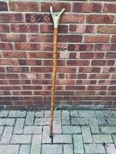 Red deer antler for sale  LINCOLN