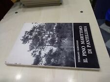 Pino marittimo pantelleria usato  Palermo