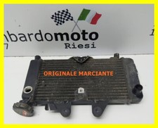 Radiatore originale honda usato  Riesi