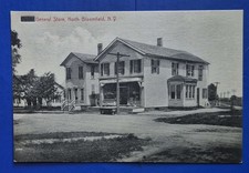 Bloomfield ny. general for sale  Palmer