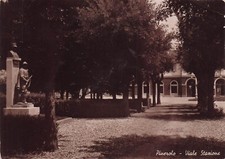 Cartolina pinerolo viale usato  Lugo