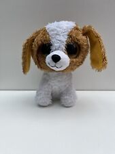 boo puppy for sale boo puppy for sale RUGBY