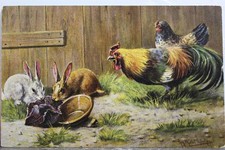 rabbits chickens for sale  Wilmington