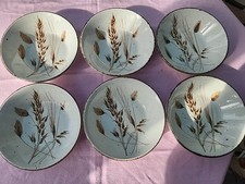 Midwinter stonehenge wild for sale  OKEHAMPTON