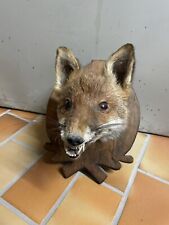 Fuchs kopf präparat gebraucht kaufen  Strullendorf