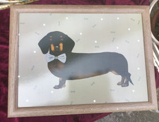 Daschund sausage dog for sale  BROUGH