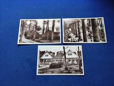 studland for sale  OSWESTRY
