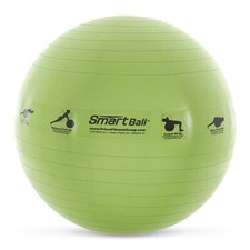 Bola de exercício Prism Fitness 65cm inteligente autoguiada estabilidade, amarela (caixa aberta) comprar usado  Enviando para Brazil
