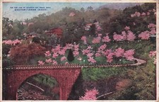 29d cartolina giappone usato  Lugo