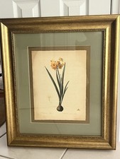 Pierre joseph redoute for sale  Palm Desert