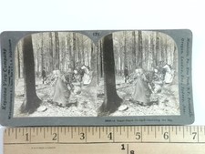 Keystone stereoview 13666 for sale  Niagara Falls