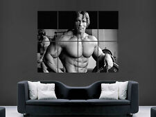 Arnold schwarzenegger poster for sale  BOURNEMOUTH