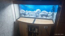Juwel aquarium jbl gebraucht kaufen  Amt Creuzburg