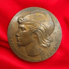 Medalha de Bronze Francesa 1989 – Conselho Econômico e Social por Chauvenet – 70mm comprar usado  Enviando para Brazil
