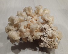 Gorgeous authentic white for sale  Los Altos