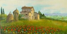 Luciano torsi 20x40 usato  Pisa