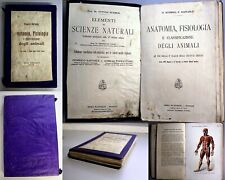 Antico libro anatomia usato  Varallo Pombia