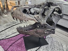 Trex dinosaur realistic for sale  LIVERPOOL