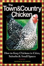 Keep chickens tending for sale  LONDON
