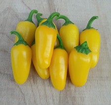 Demi jalapeño numex d'occasion Demi jalapeño numex d'occasion  Expédié en France