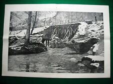 Ww1 grande guerra usato  Villarosa