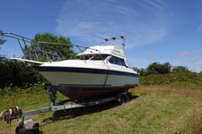 Bayliner trophy boat for sale  PENYSARN