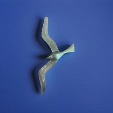 decor wall seagull bronze for sale decor wall seagull bronze for sale Oklahoma City