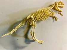 Tyrannosaurus rex fossil for sale  Arlington