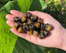 Tiger eye rune for sale  Fort Myers