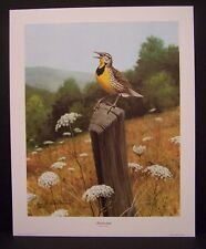 Richard eckelberry meadowlark for sale  Cincinnati