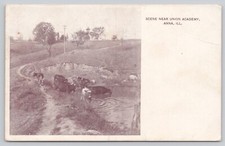 Anna illinois scene for sale  Saint Louis
