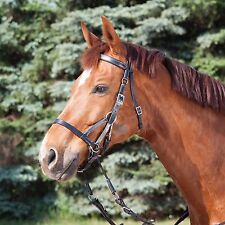Sidepull bitless bridle gebraucht kaufen  Wathlingen