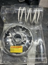 Variatore malossi beverly usato  Bronte