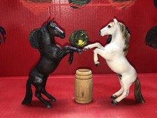 Cavalli horses marca usato  Albenga
