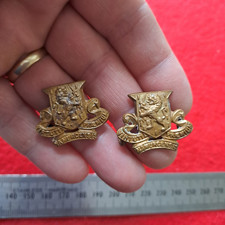 British royal irish for sale  ENNISKILLEN
