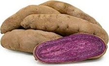 Stokes sweet potato for sale  Russell