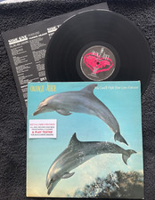 Orange Juice – You Can't Hide Your Love Forever LP 1982 1st TESTED VG+/VG+ VIDEO comprar usado  Enviando para Brazil