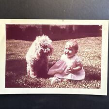 Baby cute fluffy for sale  Arlington