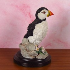 Country artists bird for sale  NORWICH