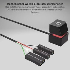 Taste einschalten ausschalter gebraucht kaufen Taste einschalten ausschalter gebraucht kaufen  Br'haven-Leherheide