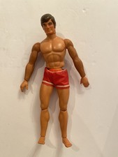 Big jim 1971 for sale  Warren