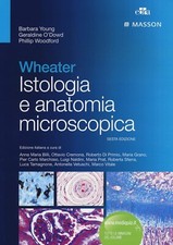 Wheater istologia anatomia usato  Roma