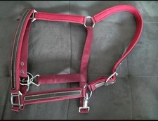 Neu halfter full gebraucht kaufen  Welver
