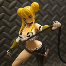 Fairy tail lucy for sale  Clinton