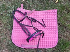 Paket shetty pony gebraucht kaufen  Seehausen, Zehrental