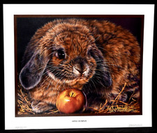 Vivi crandall apple for sale  Willow Street