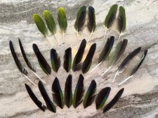 Lot green blue for sale  Rochelle